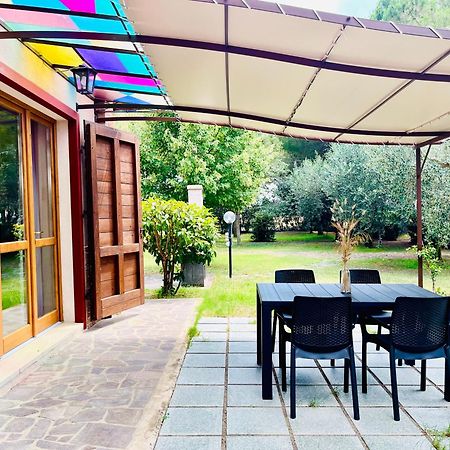 Agriturismo Salcino Grosseto Exteriör bild