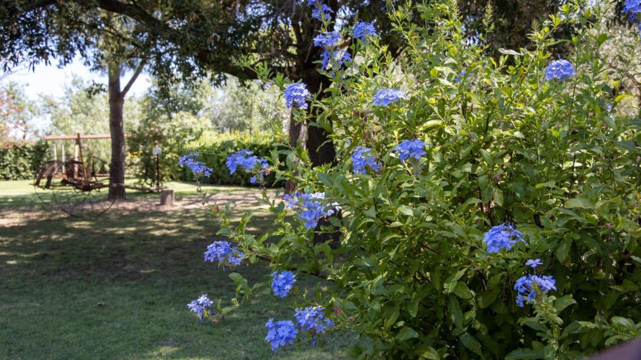 Agriturismo Salcino Grosseto Exteriör bild