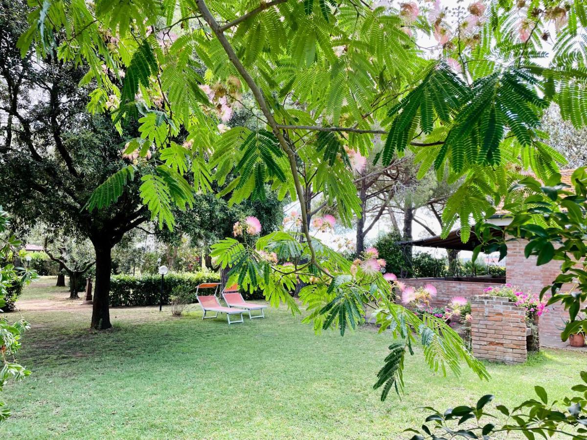 Agriturismo Salcino Grosseto Exteriör bild