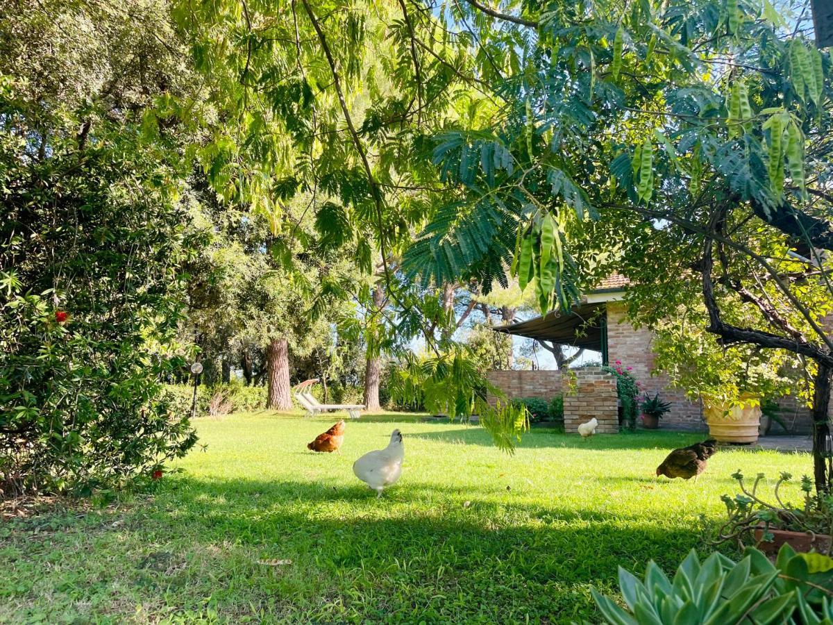 Agriturismo Salcino Grosseto Exteriör bild