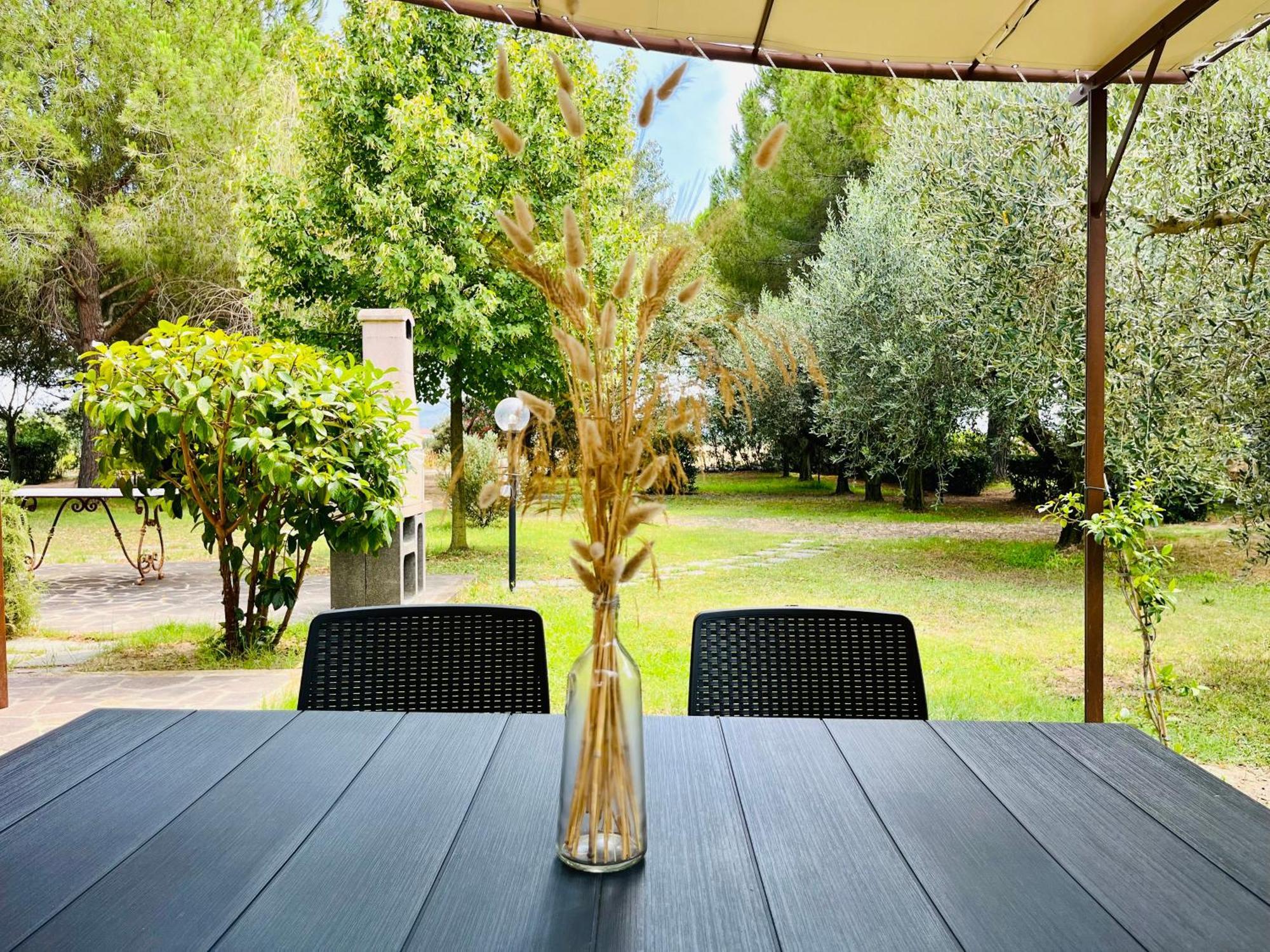 Agriturismo Salcino Grosseto Exteriör bild
